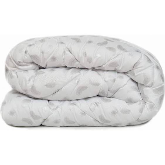 Couette 180x200 antiallergique toute lannée avec plumes dargent PREMIUM