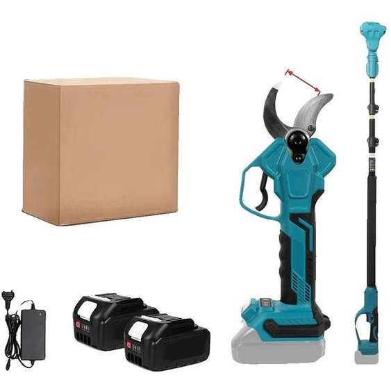 Coupe-bordures, moteur sans balais, angle de coupe réglable, livré avec deux batteries