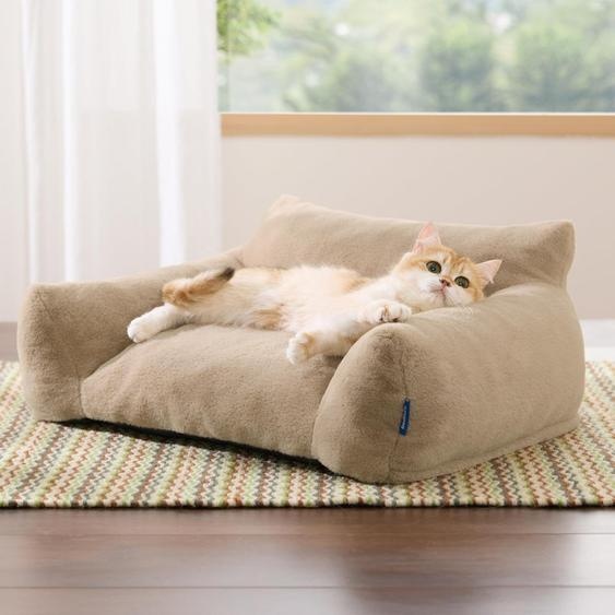 Coussin pour chat, dimensions 61x46x25 cm, motif chameau, avec housse lavable en machine et base antidérapante