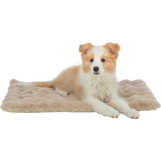 Coussin pour Chien Trixie Elli Sable 110 X 80 CM