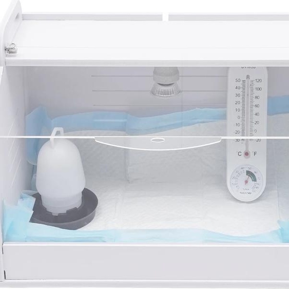 Couveuse à ufs, capacité de 20 poussins, chauffage réglable