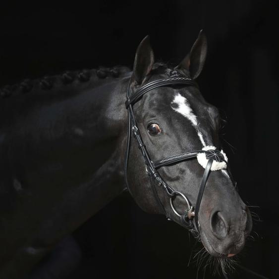 Covalliero Bridon Cancun pour poney Noir