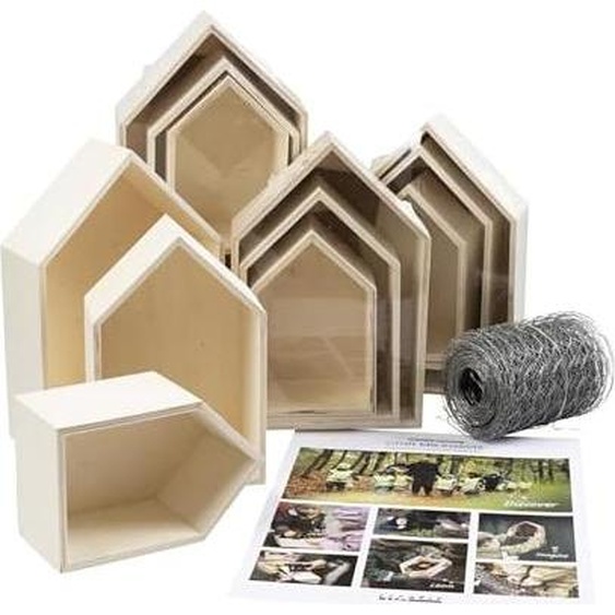 Creativ Company Kit de bricolage insectes en bois Salle de classe Jouets éducatifs