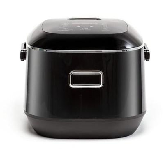 Cuiseur riz RK6012F1 Cuiseur à Riz FUZZI
