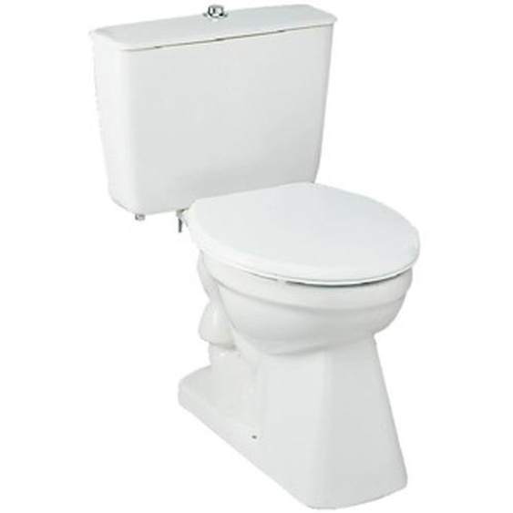 Cuvette WC seule ASPIRAMBO sans abattant sortie centrale D8,5cm - PORCHER - P231001