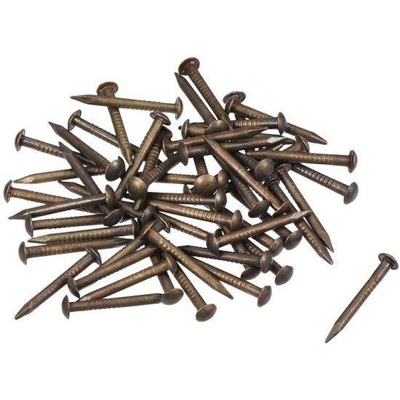 Dailygoods - Quincaillerie Nagels (50 pièces) - Clous en laiton, 1,2 mm x 12 mm - Clous à tête plate - Pour travaux de menuiserie - Pour accrocher des photos - Adaptés pour la maçonnerie - Clous