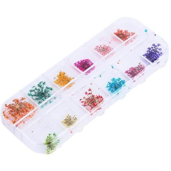 Décor de fleurs séchées naturelles 12 couleurs de fleurs séchées naturelles pour acrylique UV Gel Nail Art Tips Design 112314