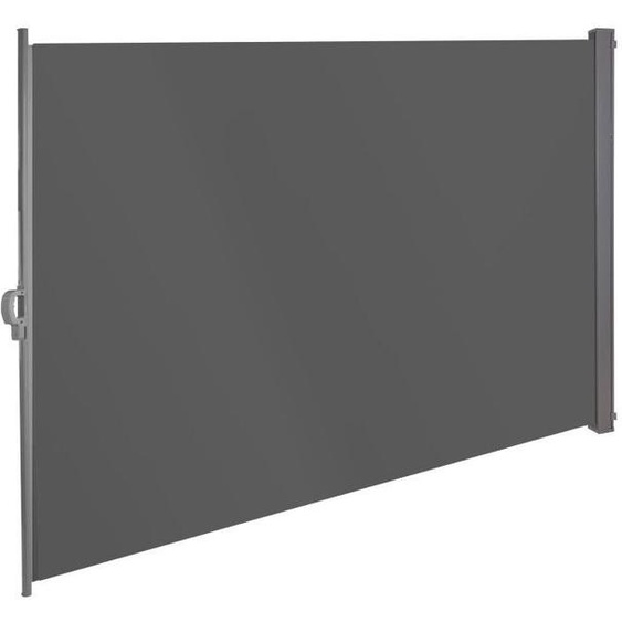 Dema Store latéral 180 x 300 cm - Anthracite / Brise-vue rétractable