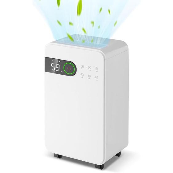 Relax4life - Déshumidificateur Électrique 12 L/Jour Réservoir dEau 2 l, Déshumidificateur dAir Silencieux Portable avec Minuterie 3 Modes 2 Vitesse