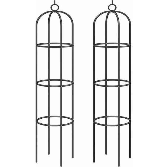 Support pour plantes grimpantes noir en métal Arche de jardin Tuteur plantes Décoration extérieure 2x tuteurs de jardin