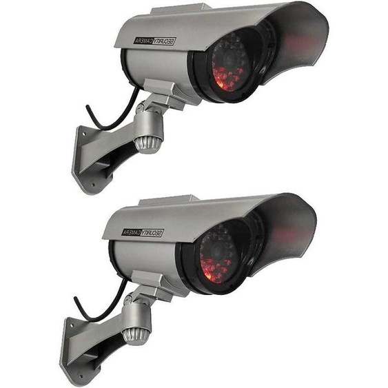 Deux gardiens de maison argentés dotés dorganes sensoriels lumineux à LED