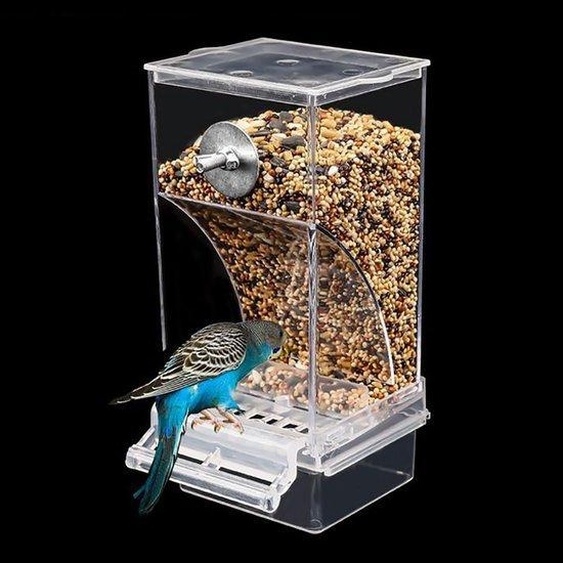 Distributeur automatique de graines pour oiseaux transparent Unyqoos®, avec perche en plastique, adapté aux petits et moyens oiseaux, tels que les perruches ondulées et les perruches ondulées