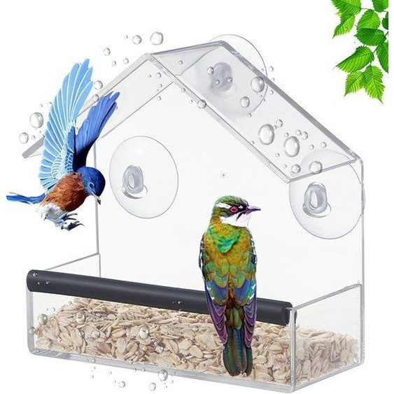 Distributeur de graines pour oiseaux transparent en acrylique, de la marque Unyqoos®, équipé de ventouses puissantes, dimensions : 15 x 6 x 15 cm, idéal pour les petits oiseaux