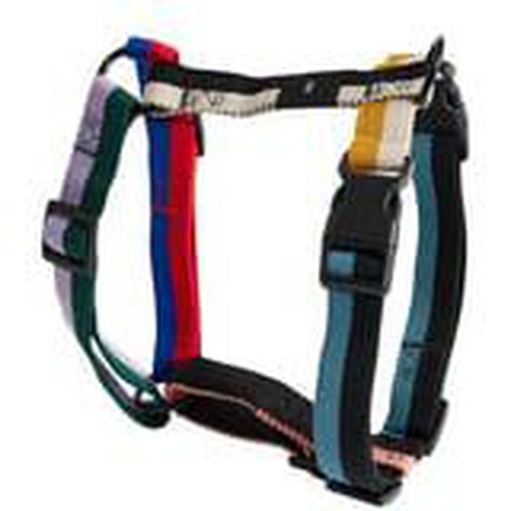 Dogs Harnais pour chien - multicolour