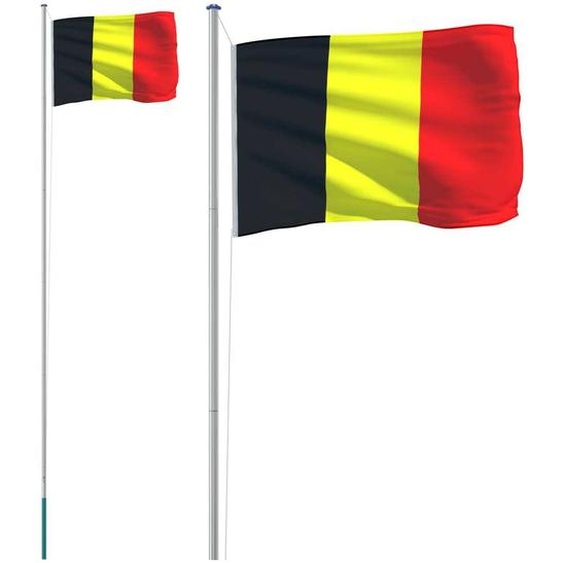 Drapeau belge avec mât 6,23 m aluminium