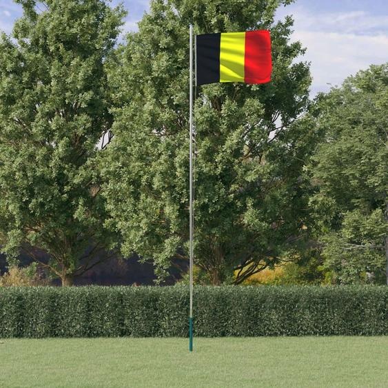 Drapeau de la Belgique et mât 6,23 m Aluminium