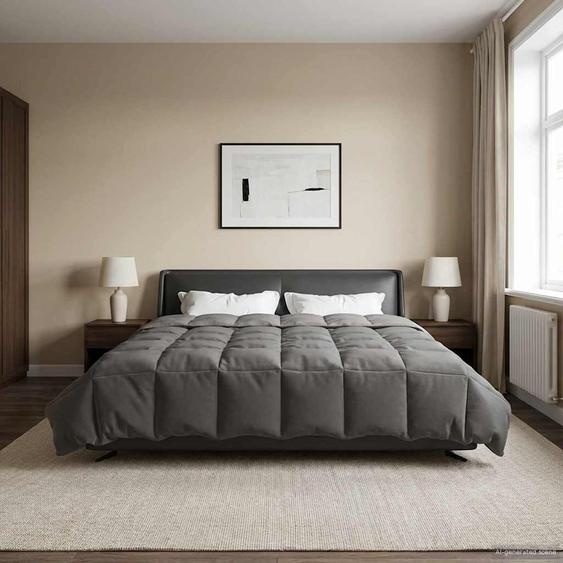 Duvet complet toute lannée Gris clair 240 x 260 cm Microfibre