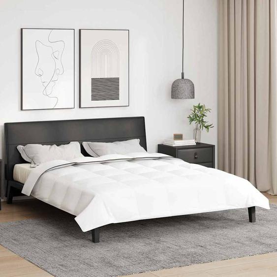 Duvet dhiver Blanc 200 x 240 cm Plume