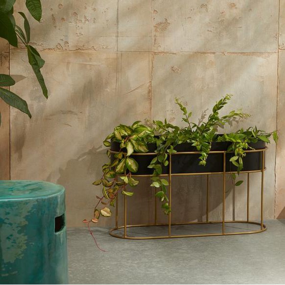 Argent DENOME Céramique Modern Pots de Plantes Texture de Marbre Pot de Fleur Diamètre 9cm Jardinière Salon Pot de Fleur Planteur de Ciment Petite Jardinière Salon Argent DENOME Céramique Modern Pots de Plantes Texture de Marbre Pot de Fleur Diamètre 9cm Jardinière Salon Pot de Fleur Planteur de Ciment Petite Jardinière Salon