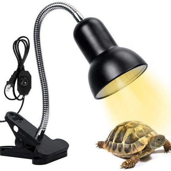 Éclairage UV pour reptiles, 25 W, 50 W, culot E27, UVA, UVB, accessoires pour aquariums.