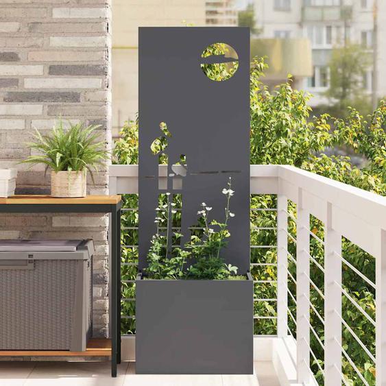 Écran de confidentialité de jardin Anthracite 50 x 140 cm