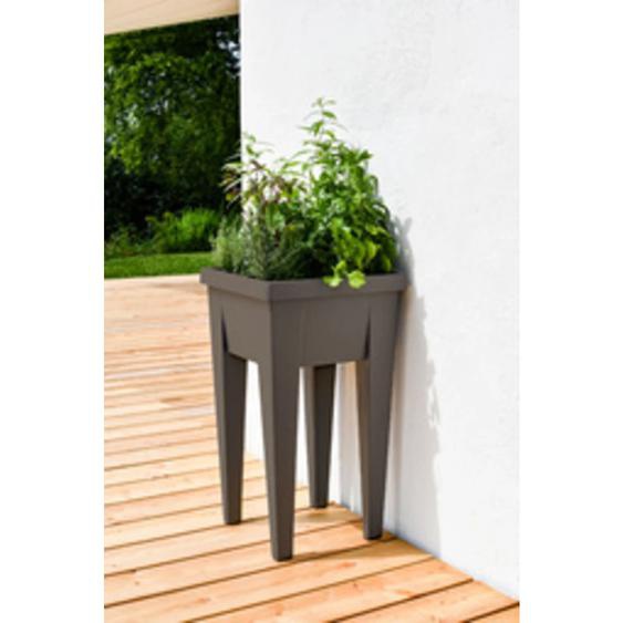 Mini-jardinière VEG&Table Aromatique, anthracite