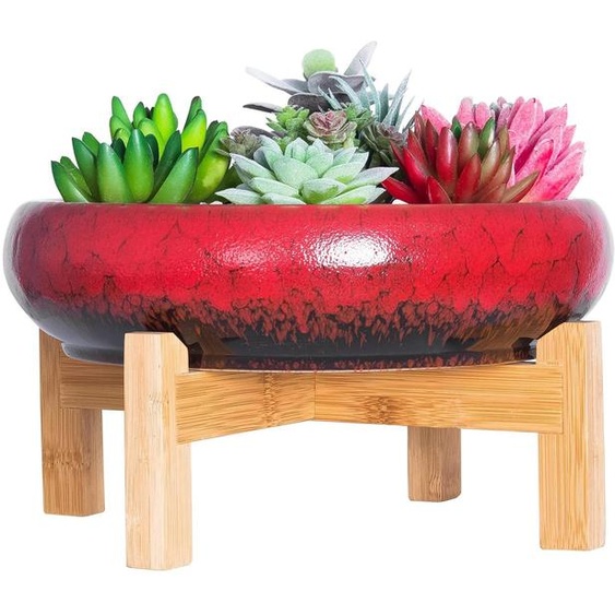 Elzusha - Grand pot en forme de bonsai, avec support, idéal pour les plantes grasses et les cactus