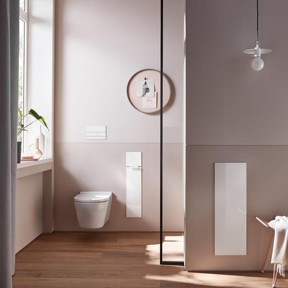 emco asis module pure WC, montage encastré, charnière de porte à gauche, façade en verre en deux parties, 730x170mm, avec compartiment pour rouleau de réserve, 975527400