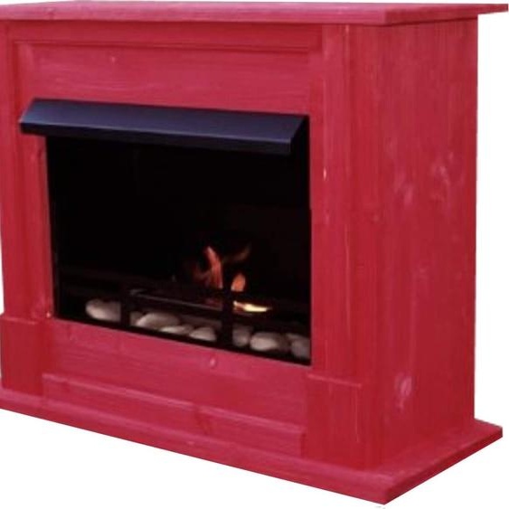 Emily Deluxe Cheminée à léthanol et au gel modèle Emily Deluxe Rouge incl.1 L brûleur en acier inoxydable