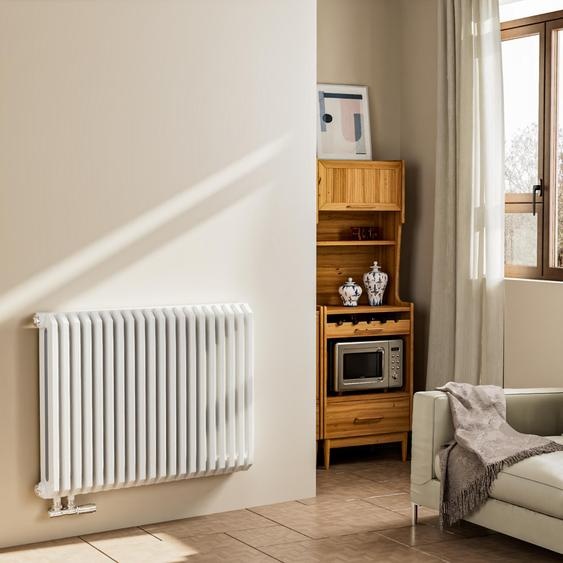 EMKE Radiateur design en forme de D 600x840mm 1383W Red Dot Award Winner Blanc - Montage horizontal, pour 18,4 m², salle de bains & salon sans radiateur