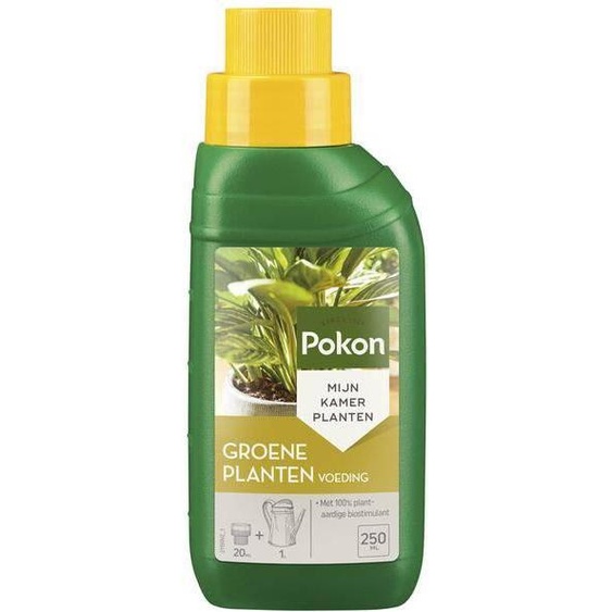 Engrais pour plantes dintérieur - 250 ml dengrais liquide pour plantes vertes