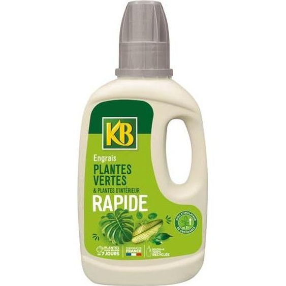 Engrais Rapide Plantes Vertes Et Dintérieur 500ml /nc - Kb