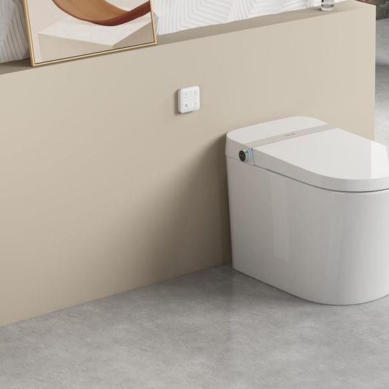 Ensemble de toilettes automatiques, double chasse deau, siège chauffant, télécommande, couleur blanche