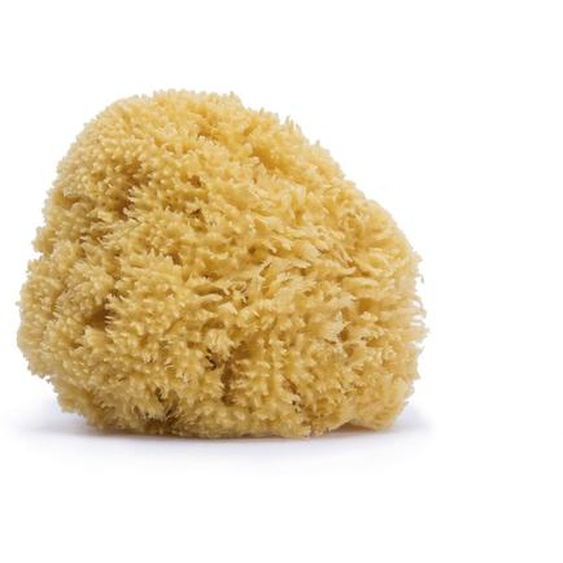 Éponge En Fibre Naturelle Jaune