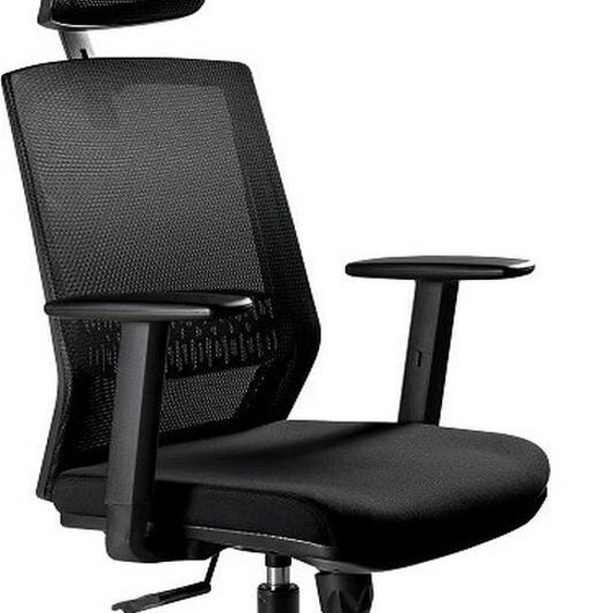 Ergonomic office chair ESTA black