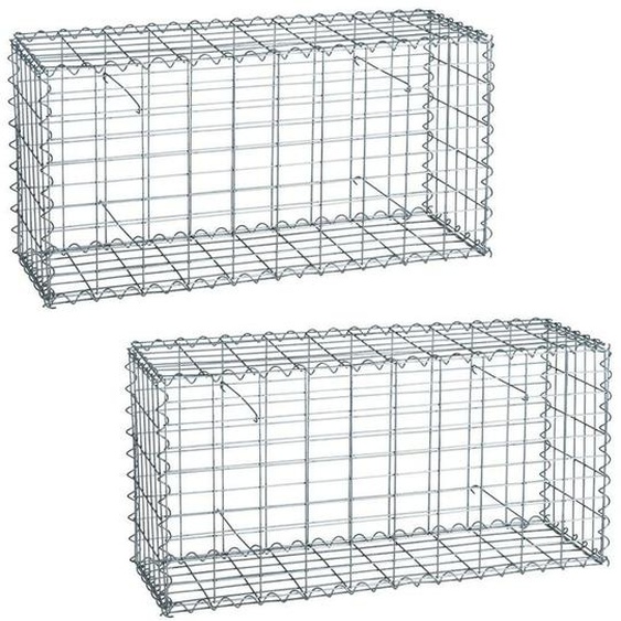 2 Gabions à pierres en métal galvanisé 100 x 50 x 30 cm