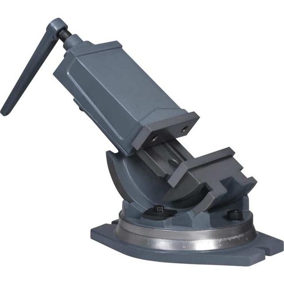 étau à 2 axes Inclinable 160 mm