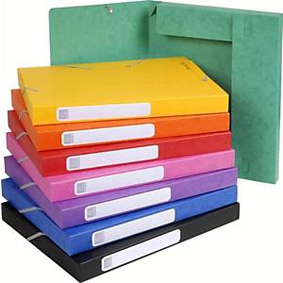 Exacompta Boîte de classement A4 Cartobox - Carte lustrée 5/10E - Dos 2,5 cm - Assorties - Lot de 25