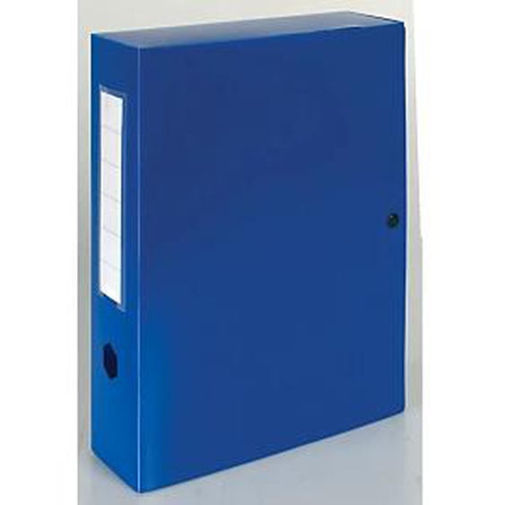Exacompta Boîte de classement A4 Fermeture pression - Polypropylène 7/10E - Dos 8 cm - Bleu - Lot de 10