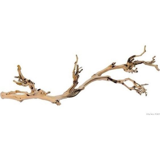 EXO TERRA Décoration Pied de vigne sablé - Grand modele - Pour terrarium