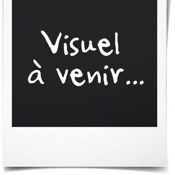 Exo Terra PT2334, 80 W, 1 pièce(s), 4000 K, 650 lm, 6,2 lm/W, 70