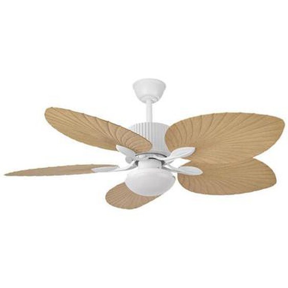 Ventilateur Dc 26w Colla White 5-stage Beech 132d 6-speed 2950lm 3000-4000-6000k Minuterie à distance-mémoire - Fabrilamp