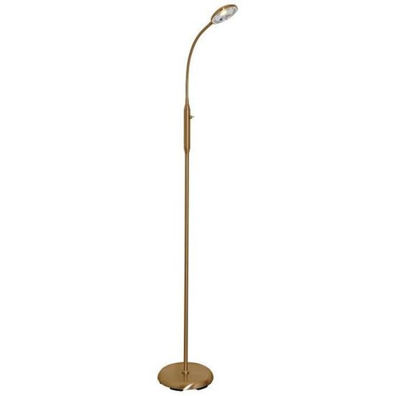 Lampe sur pied - FANTASIA - Safrane - Inox - 1 x Power LED - 5W 3000K