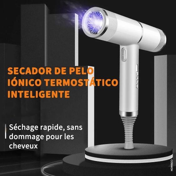 FEMVY Sèche-cheveux ionique professionnel avec performances de qualité Salon et fonction antistatique, outil de coiffure domestique à vent fort haute puissance
