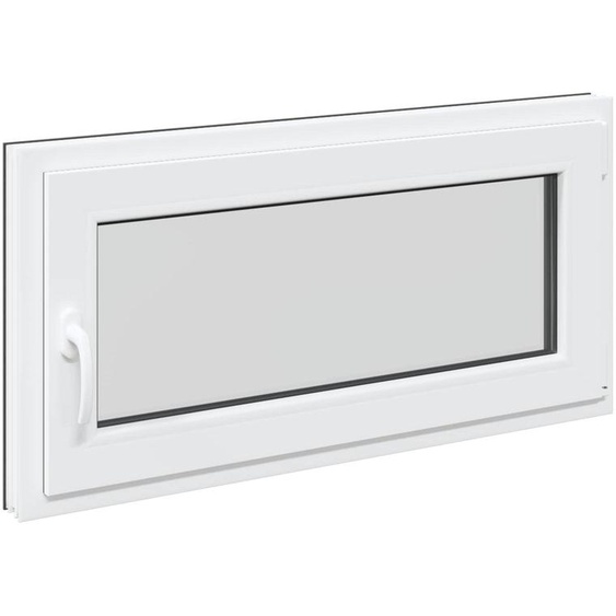 vidaXL Fenêtre de cave RISOR 100 x 50 cm PVC et verre, anthracite