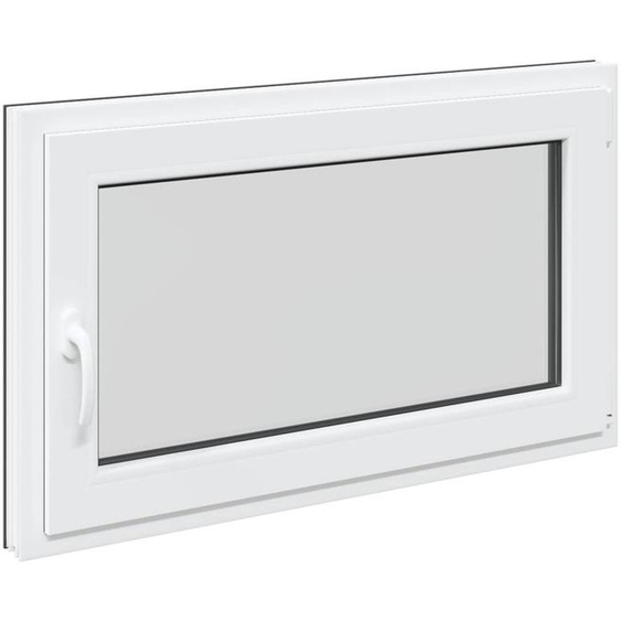 vidaXL Fenêtre de cave RISOR 100 x 60 cm PVC et verre, couleur anthracite