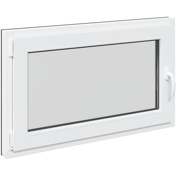 vidaXL Fenêtre de cave RISOR 100 x 60 cm PVC et verre, couleur anthracite