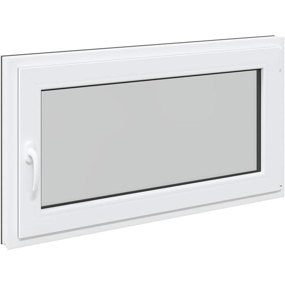 vidaXL Fenêtre de cave RISOR 120 x 60 cm PVC et verre, anthracite