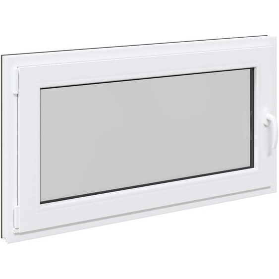 vidaXL Fenêtre de cave RISOR 120 x 60 cm PVC et verre, anthracite