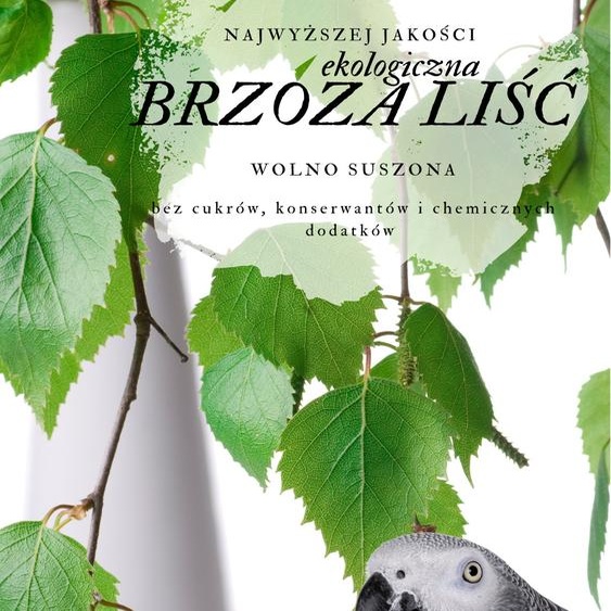 Feuilles de Bouleau Pour Perroquets - Friandise Premium Pour la Santé & le Bien-être 50G